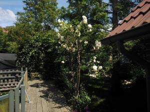 Holiday home with 3 bedrooms