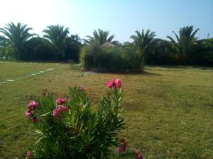 Ktima Petalea Lakonia Greece