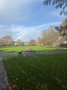 Felicity Flat Serviced Apartment Exeter