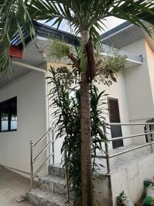 Northern Belle guesthouse