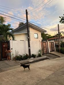 Northern Belle guesthouse