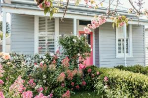 Wild Cherry on Wishart