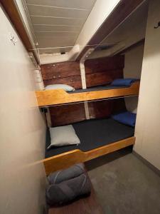 The Vega 1909 - Historic Wooden Ship