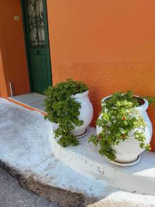 Afroessa Apartment Ithaca