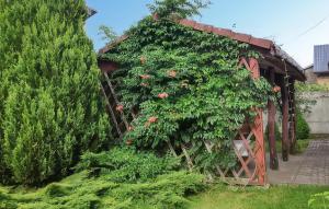 4 Bedroom Amazing Home In Parzensko