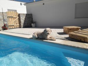 Casas da Lameirancha