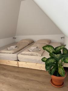 Wohnen im alten Standesamt High 5