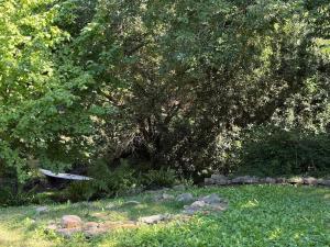 La Terrasse Suspendue, proche des plages