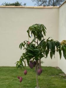 Casa com 4 suítes perto da praia