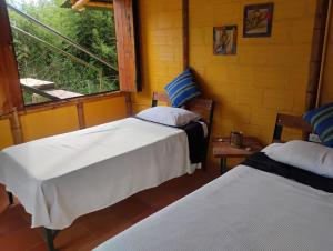 Agüita con Limón Natural Health