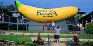 The Break on Diggers - Popular Location, walk to Beach