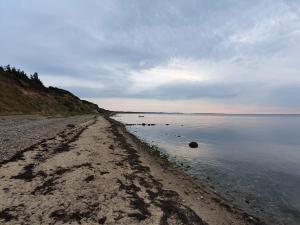 8 person holiday home in Spøttrup