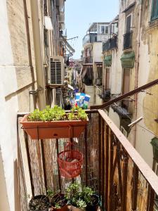 Vecchia Napoli Pignasecca