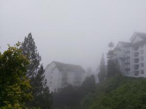 A356 Silverpark Resort lifted unit 5th floor