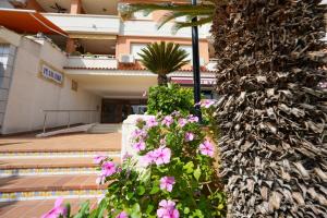 Apartamento PARADISE Solo Familias