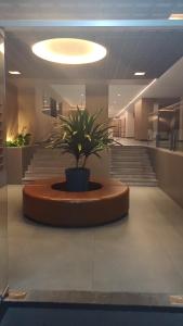 Apartamento próximo a COP30