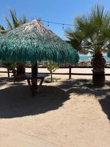 La Palapa del Pescador