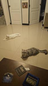 Ban sabai pool villa