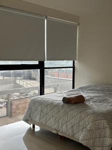 Depto Puerto Amarras III