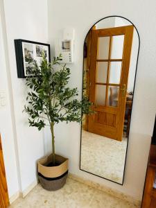 Villa Del Mar - Apartaestudio