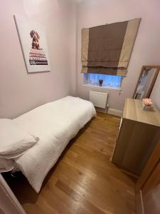 Modern Flat with Wembley Stadium View