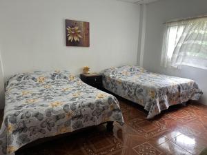 Los mangos Posadamanabita