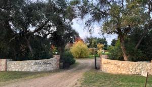 The Olives Heritage House