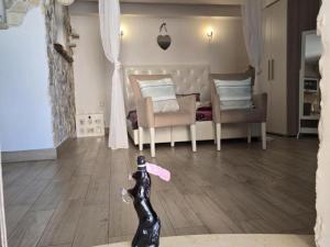 Studio apartment Angir Martina