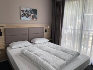 Gourette: Appart 66m² pour 8 pers, piscine, animaux admis - FR-1-860-16