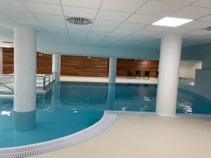 Studio 6 pers, piscine, animaux admis - Gourette - FR-1-860-29