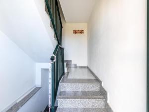 A 150 meter long mare, 2 fish img16