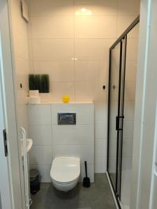 Apartamenty Wilga - spokojne miejsce z całorocznym zewnętrznym wspólnym jacuzzi, sauną i letnim basenem