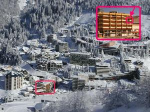 Confort studio 6 pers, vue pistes, animaux admis - FR-1-859-4