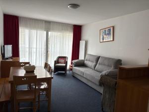 Appartement 6 pers, vue pistes, piscine, animaux admis, WIFI - FR-1-859-5