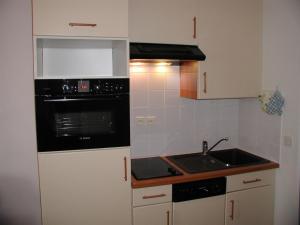 Studio 4 pers à Gourette avec Wifi et animaux acceptés - FR-1-859-21