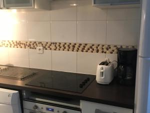 Studio à Gourette, 6 pers, WIFI, animaux admis - FR-1-859-35