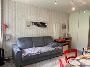 Studio cabine confort 6 pers, animaux admis, Gourette - FR-1-859-34