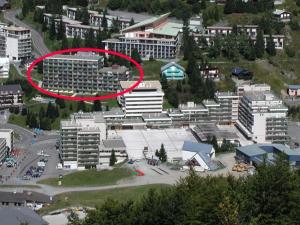 Studio confort Gourette 6 pers, animaux admis, proximité pistes - FR-1-859-33