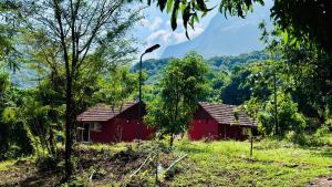 Jungle Homes