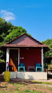 Jungle Homes