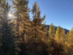 Studio calme, 4 pers, proche pistes et commerces - FR-1-322-696