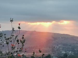 Green Hills Farm House