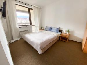 1BR Apartment with Mountain View near the Gondola