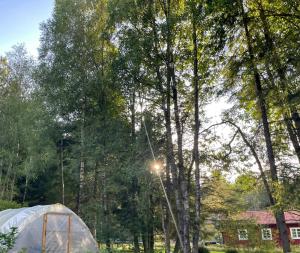 Forest Cottage Near The Sea On Orust