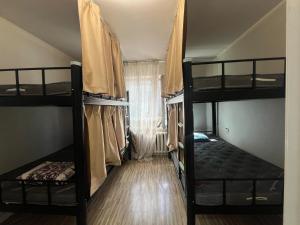 Zebra Guest House