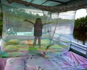 Orangutan Borneo Tour Tanjung Puting