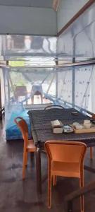 Orangutan Borneo Tour Tanjung Puting