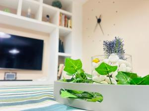 La casa de Curtidurías