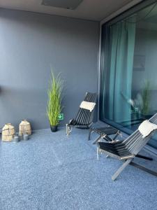 Marinan Portin Svingi A23 lemmikit sallittu