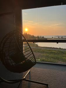 Marinan Portin Svingi A23 lemmikit sallittu